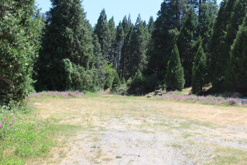 0 Nelson Drive - Photo 1