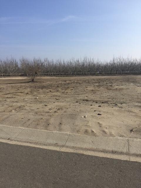 0 Mulanax (Lot#2) Drive - Photo 1