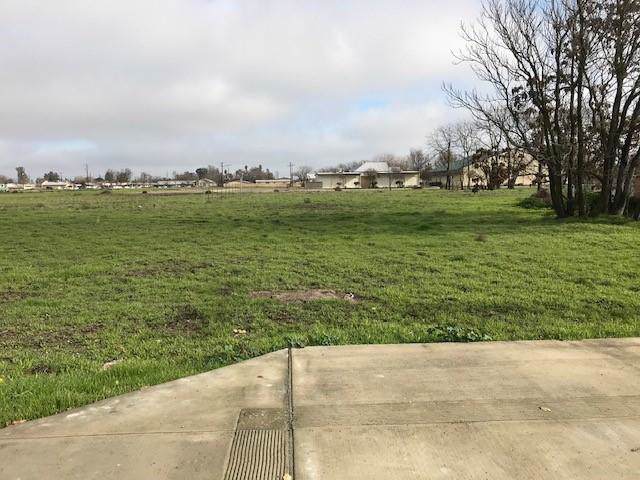 0 Hanford Armona Road - Photo 1