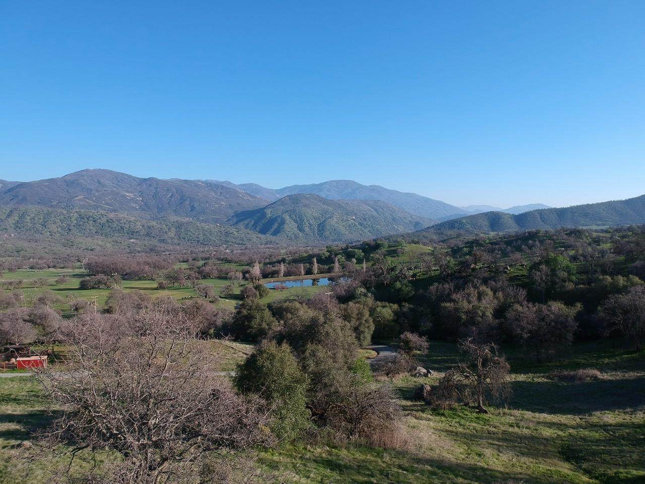 41141 Blue Oak Drive - Photo 1