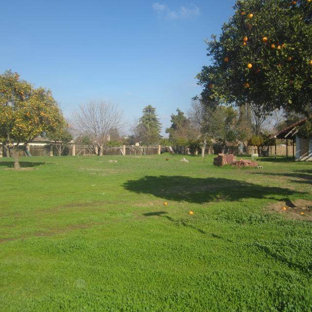 Sycamore Drive - Photo 1
