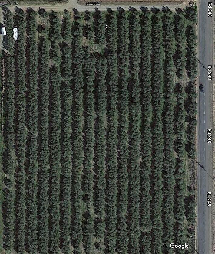 Road 248 - Photo 1