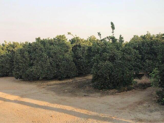 Road 228 - Photo 1