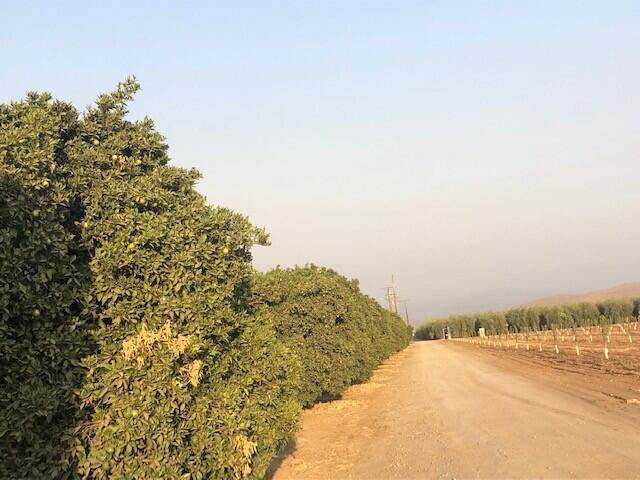 Avenue 186 - Photo 1