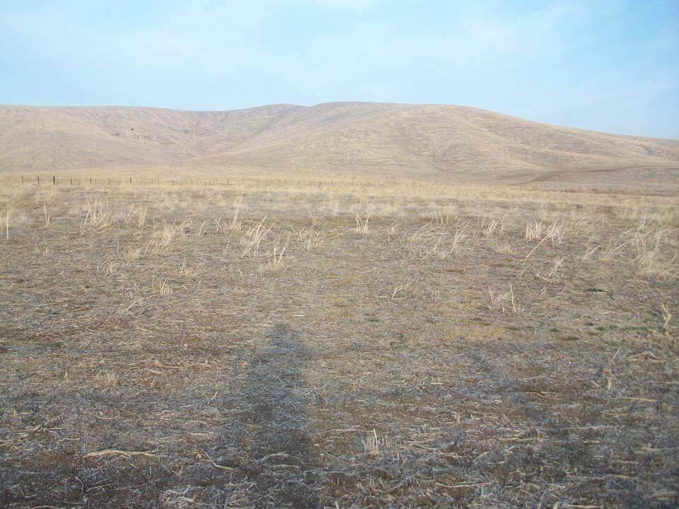 Old Stage Road Road - Photo 1