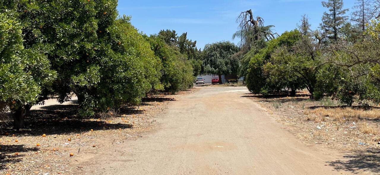 42204 Road 120 - Photo 1