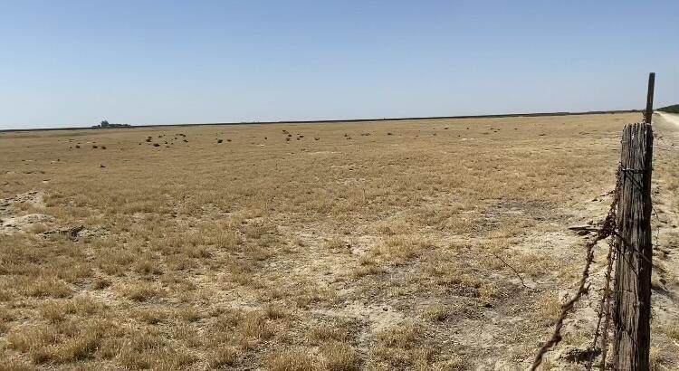 Road 80 - Photo 1