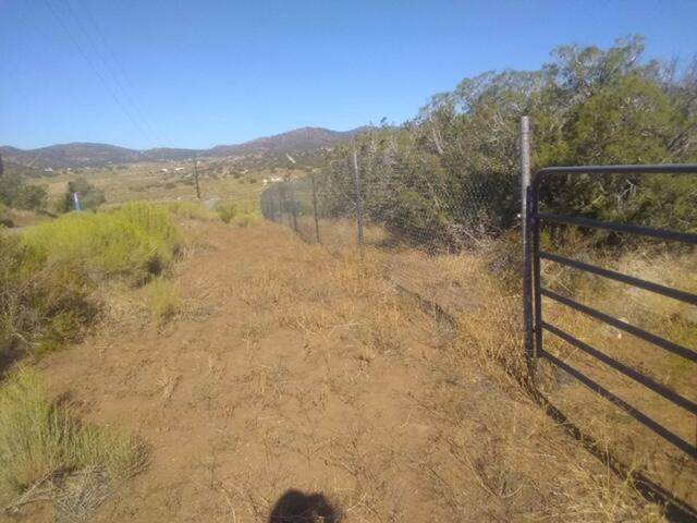 Tanganda Road - Photo 1