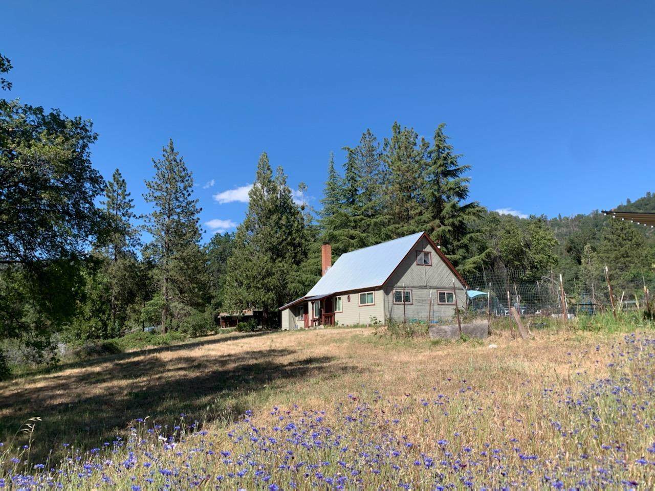 50523 Highway 245 - Photo 1