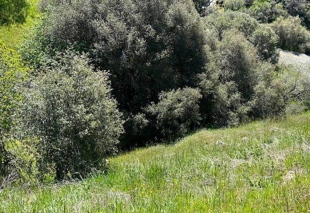 27 & 28 Capanero Oaks Court - Photo 1