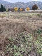 0 Globe Drive - Photo 3