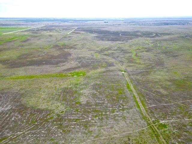  Garces Hwy Highway - Photo 1