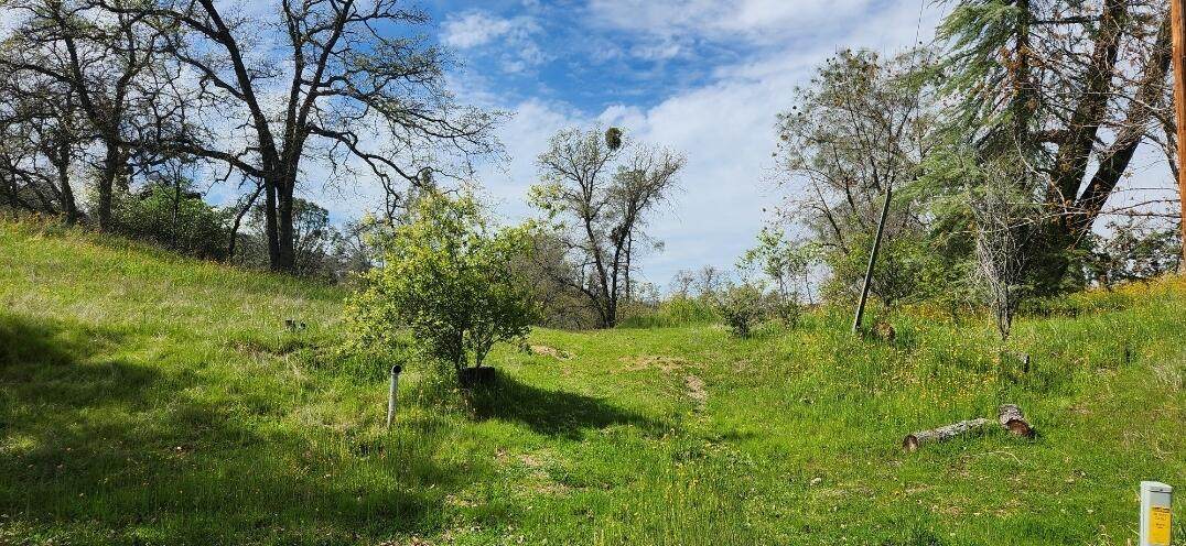  Starlight Court - Photo 1