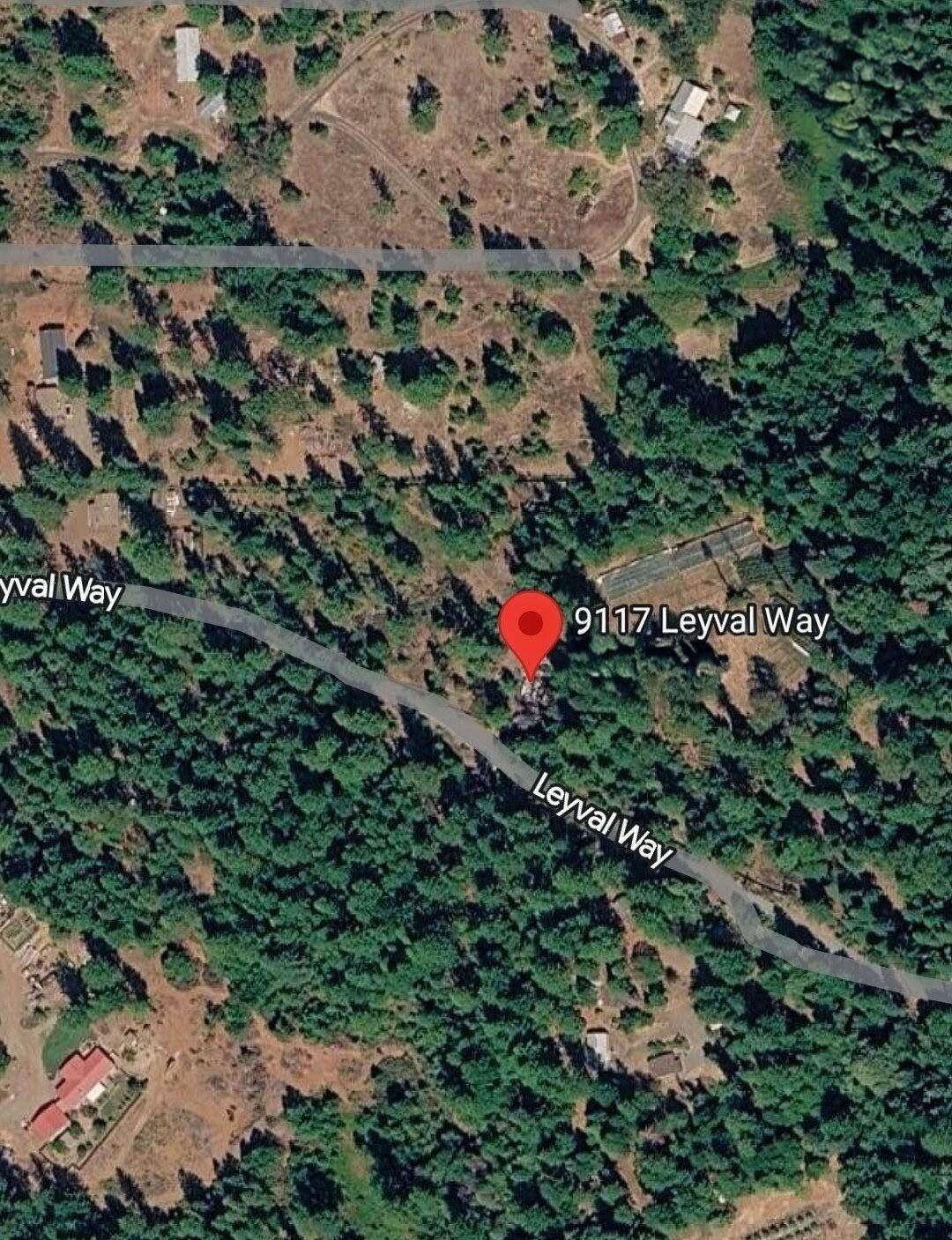 9117 Leyval Way - Photo 1