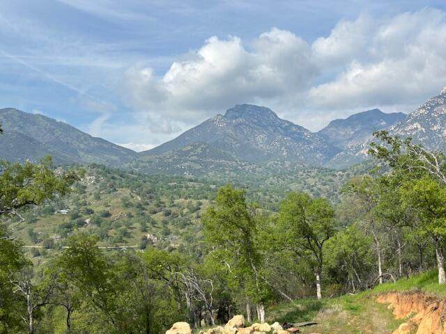  Mineral King Road - Photo 1