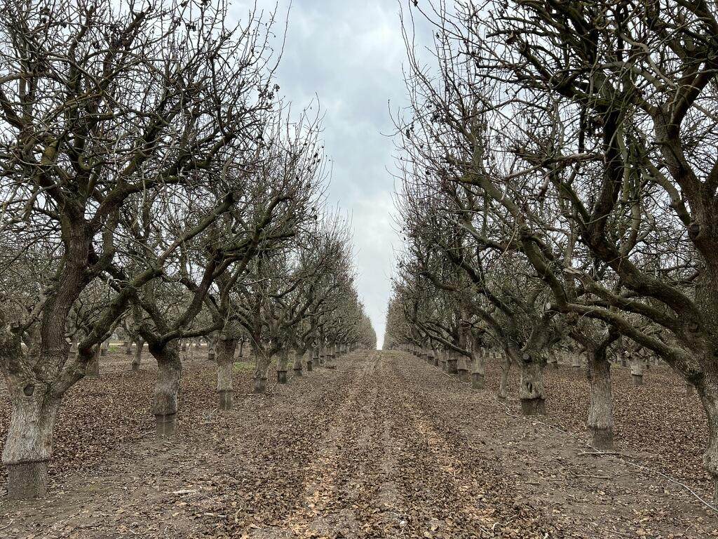  Avenue 11 - Photo 1