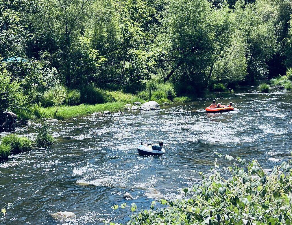 00 Kaweah River Drive - Photo 1