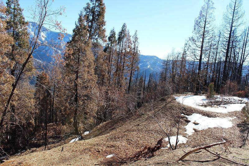0 Redwood Drive - Photo 1