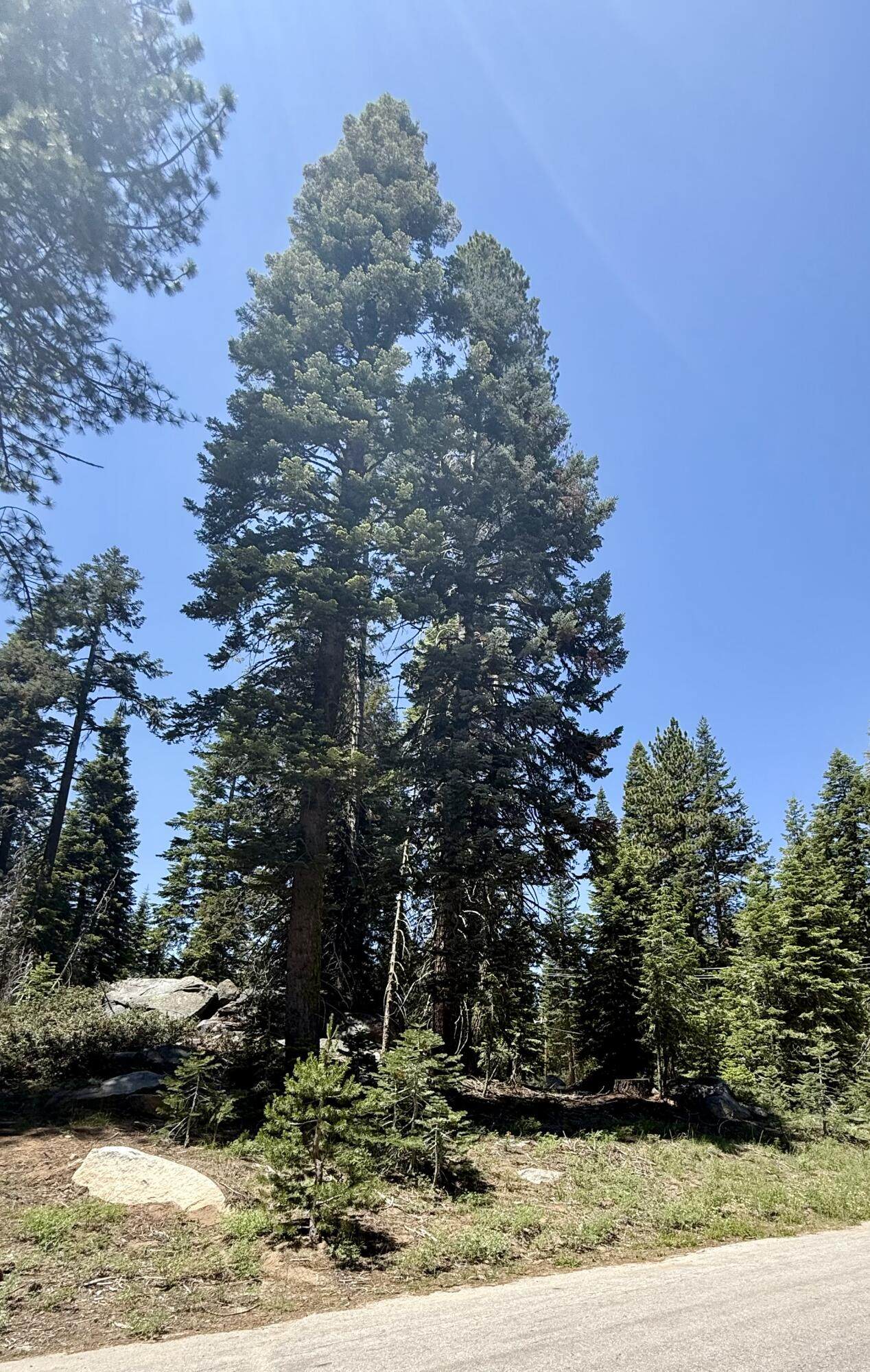 https://bt-photos.global.ssl.fastly.net/tulare/1280_boomver_1_242396-2.jpg