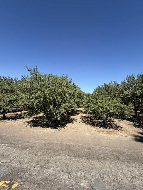 4032 Inyo - Photo 1