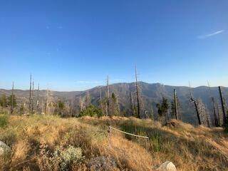 52905 Alpine Drive - Photo 1