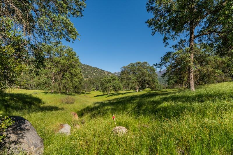 0 Salt Creek - Photo 1
