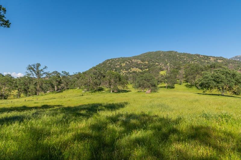 0 Salt Creek - Photo 1