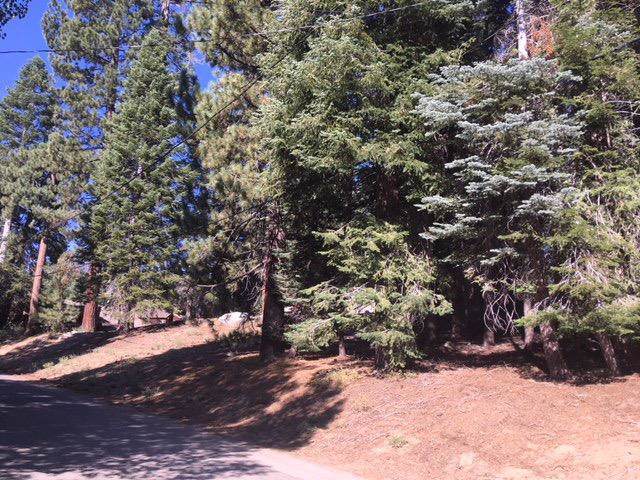 0 Aspen Drive - Photo 1