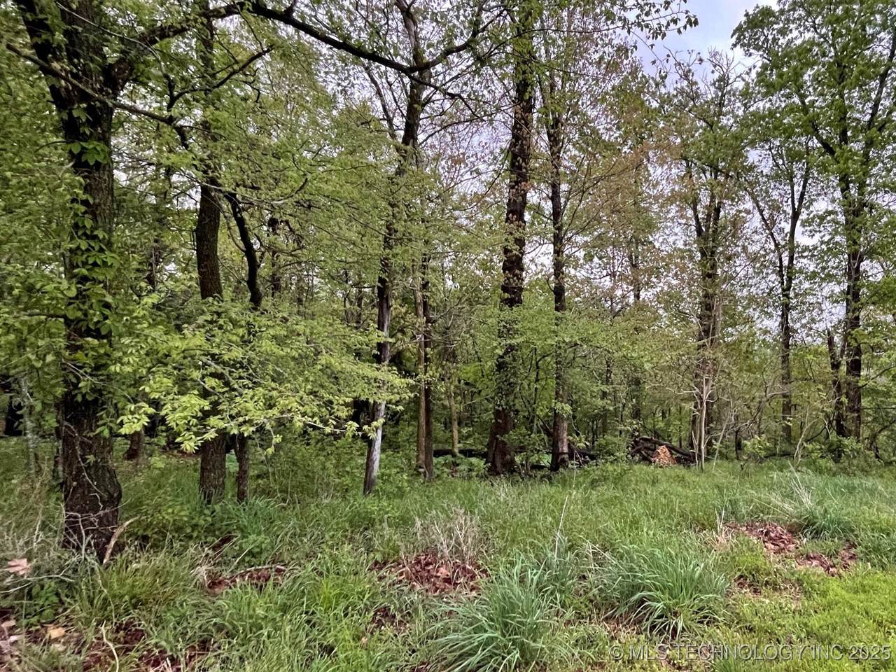 1229 Pheasant Run Road - Photo 1