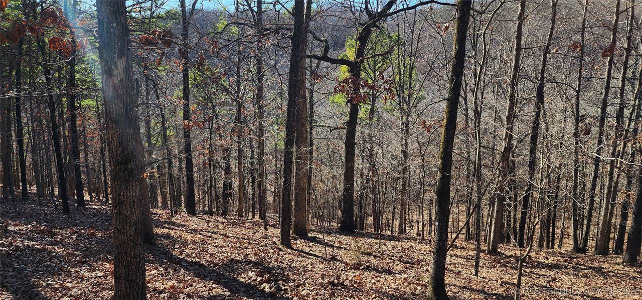  Highland Road - Photo 1