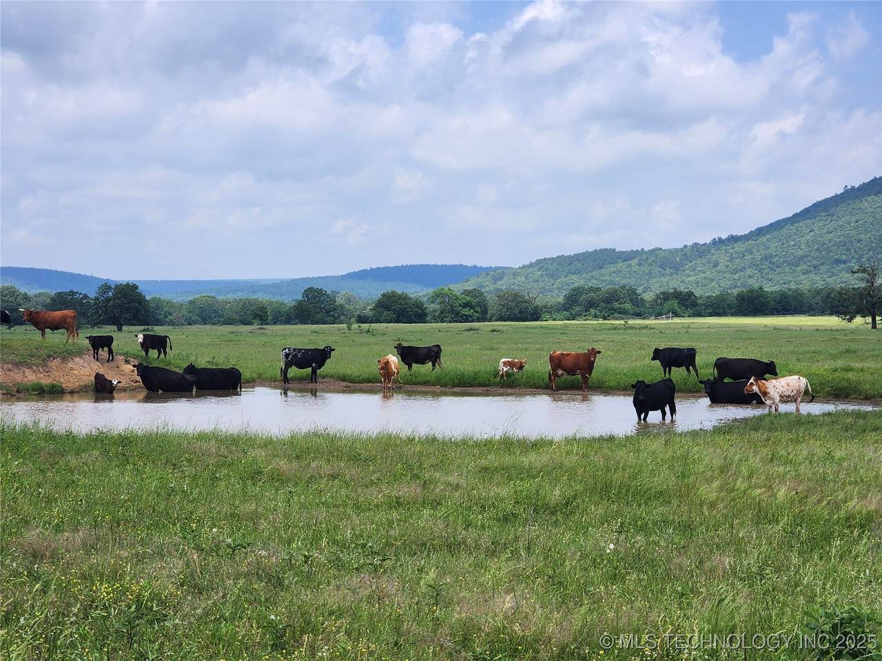 8014 Hwy 63 - Photo 1