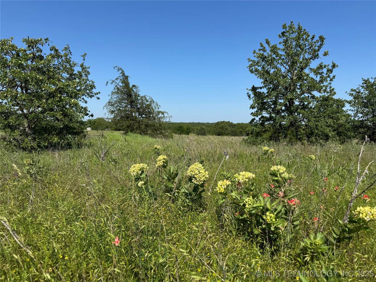 2668 Buck Horn Road - Photo 1