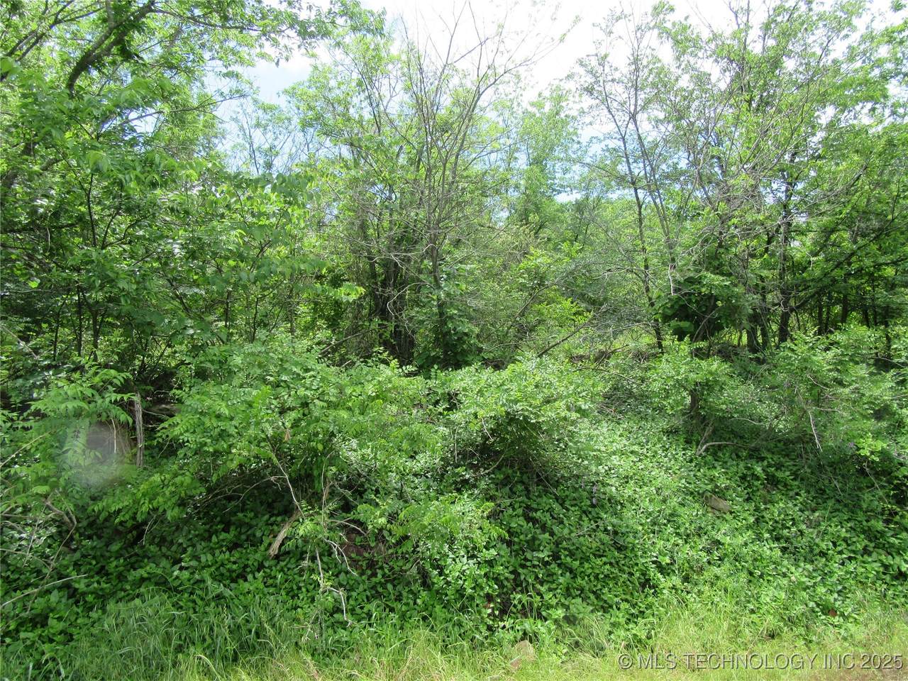 28 Jefferson - Photo 1