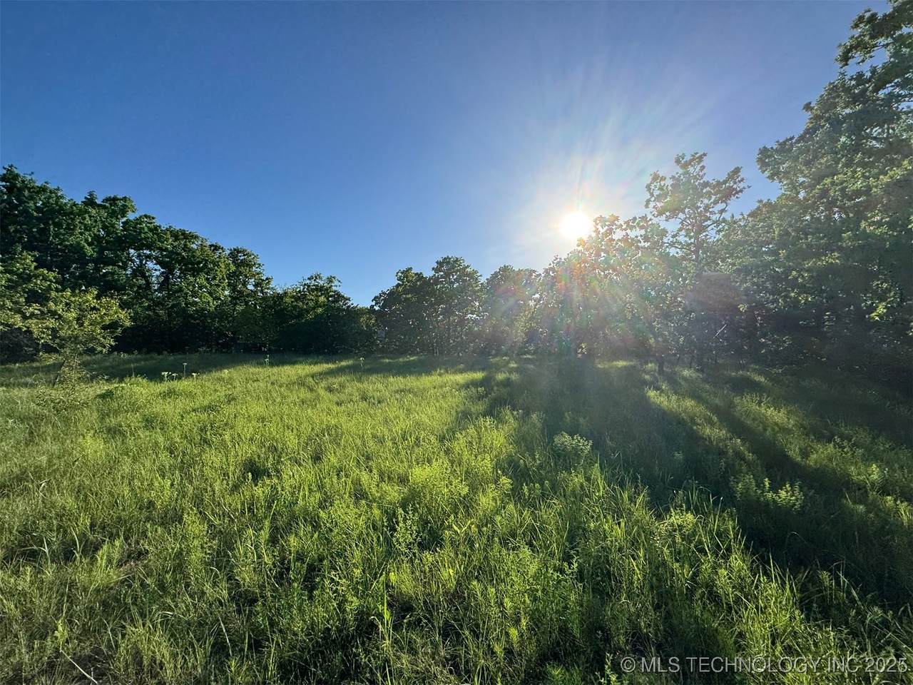 3400 County Road 1600 - Photo 1