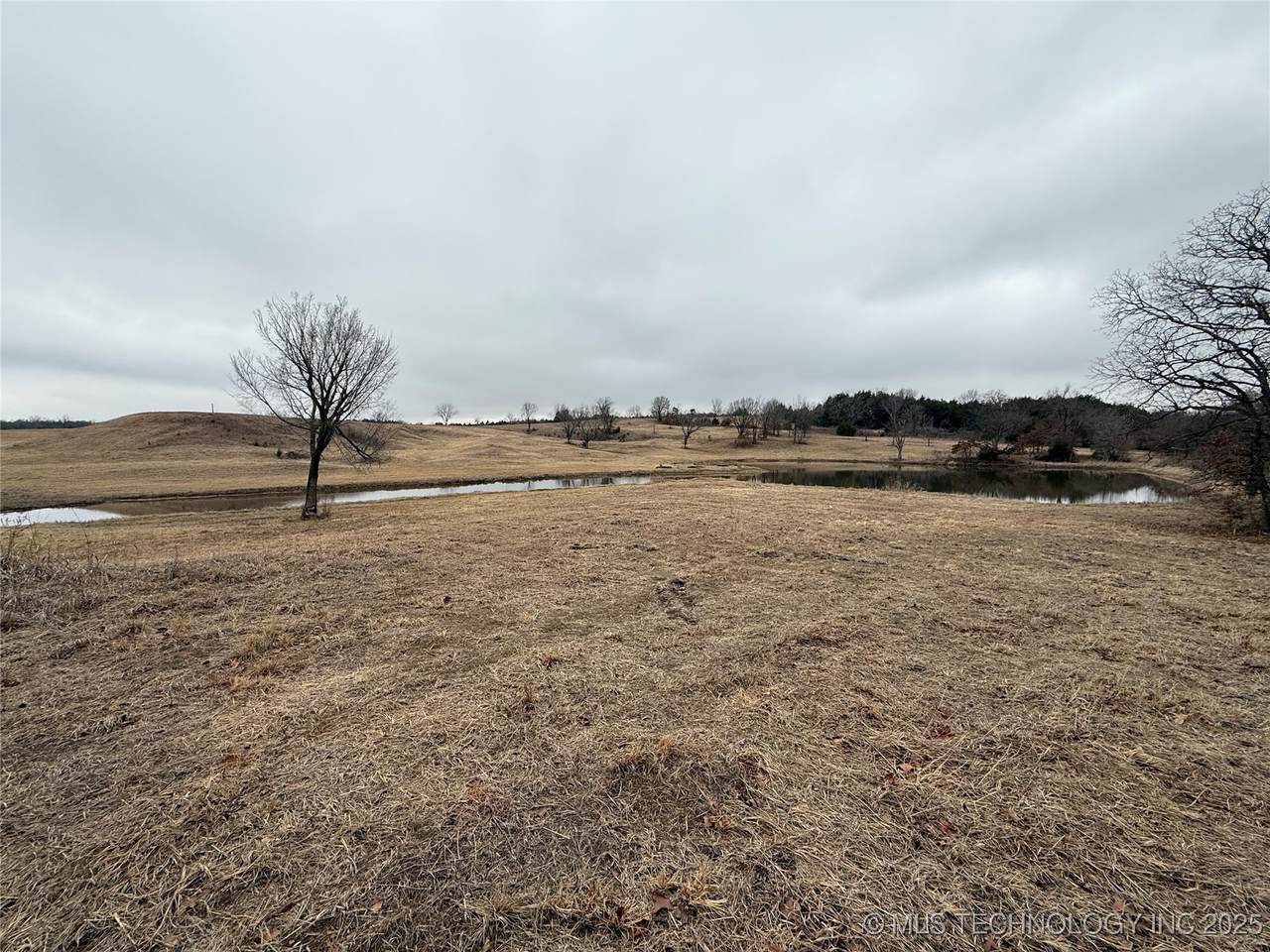 Main - Photo 1