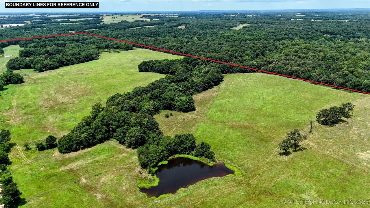 6850 County Road 553 - Photo 1