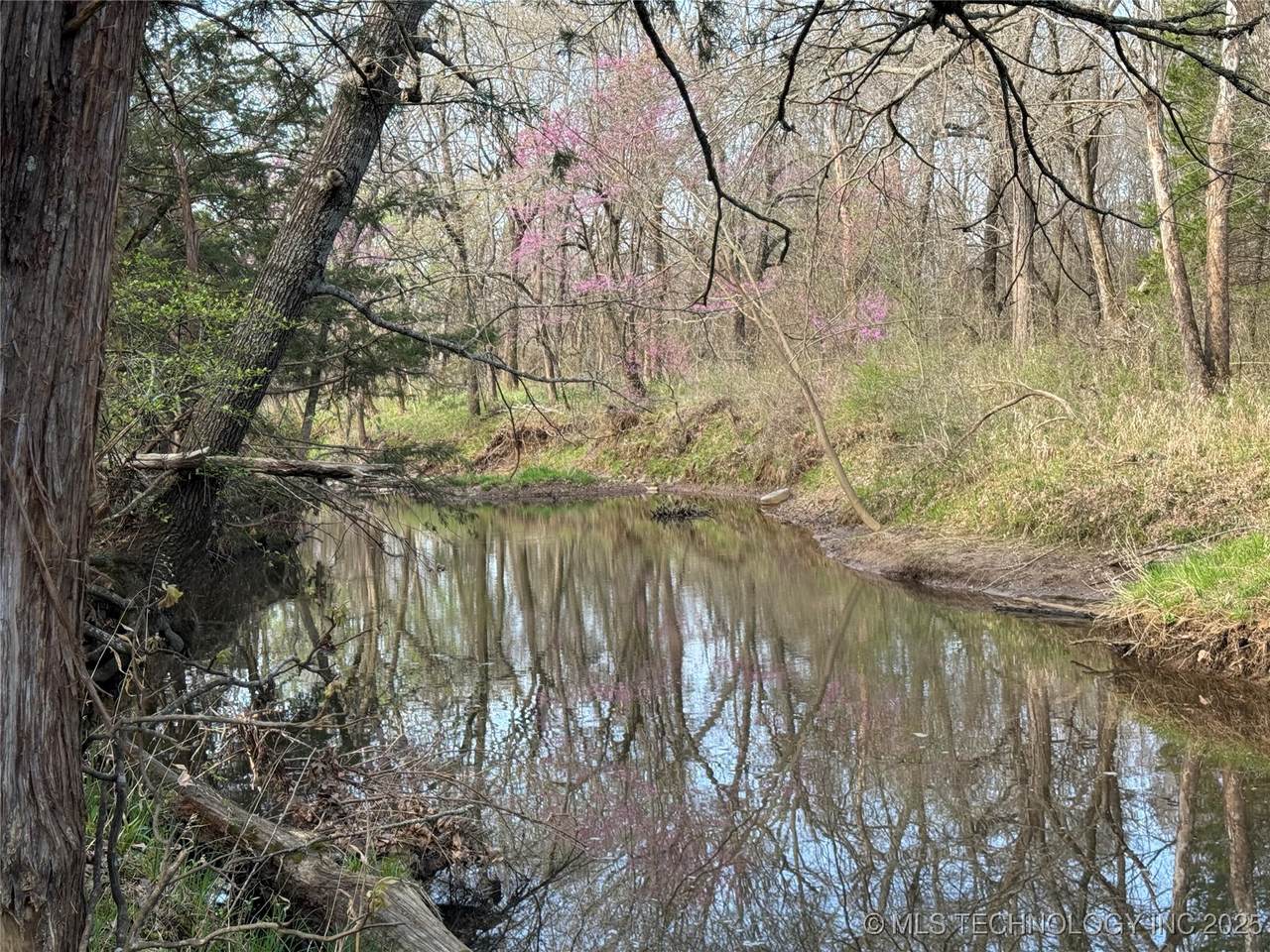 10 Blue Creek Road - Photo 1