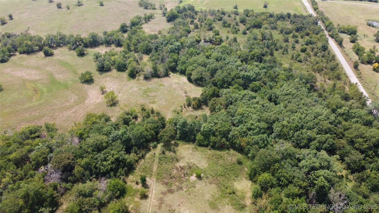  Chicken Fight Road - Photo 1