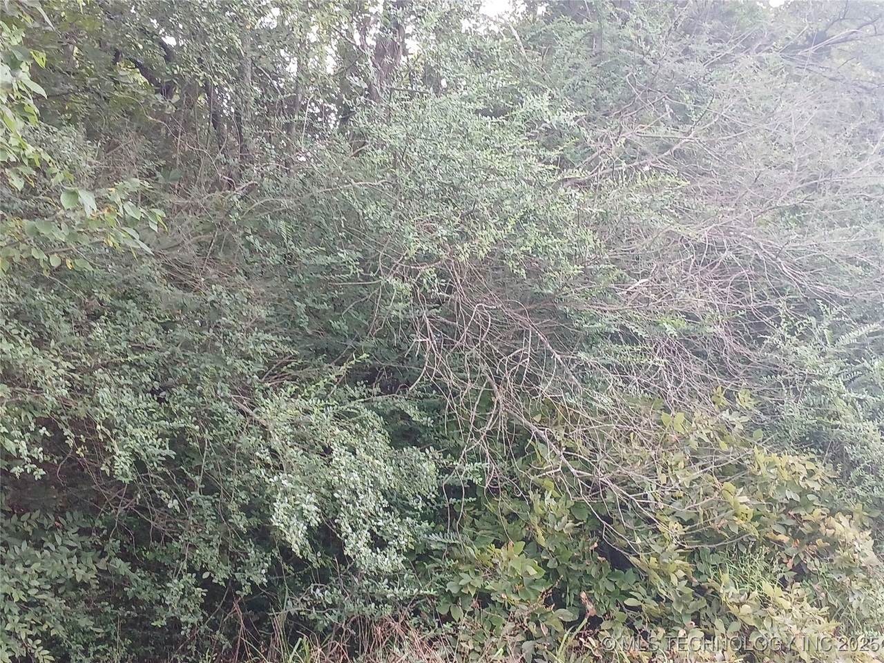  Ranch Trail Road - Photo 1