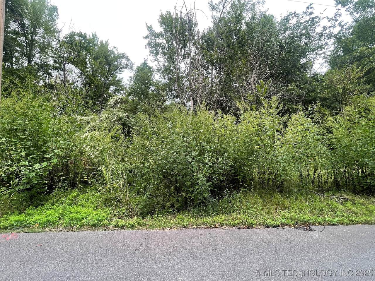  Tamaroa Street - Photo 1