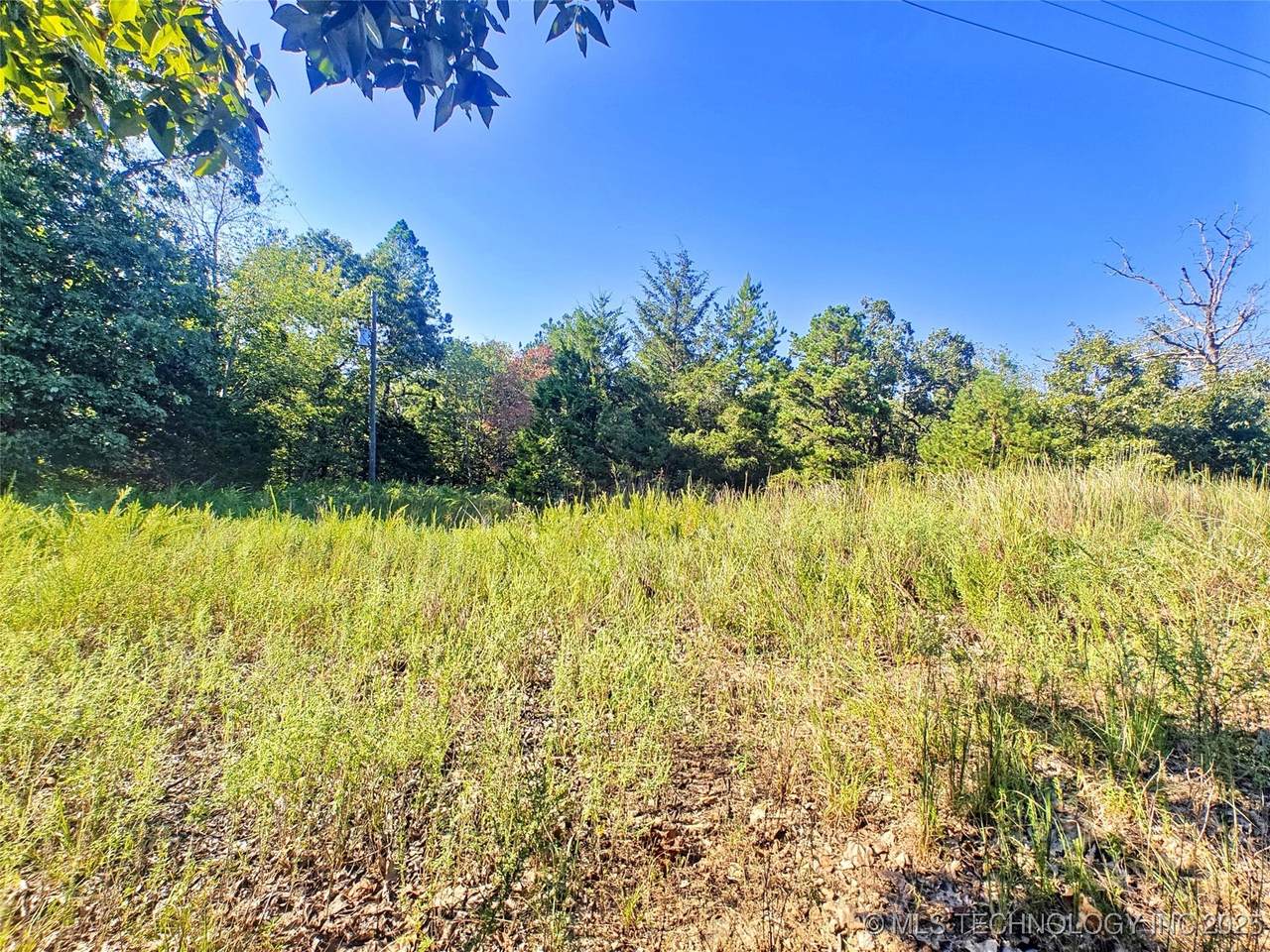 20100 Horseshoe Bend Road - Photo 1