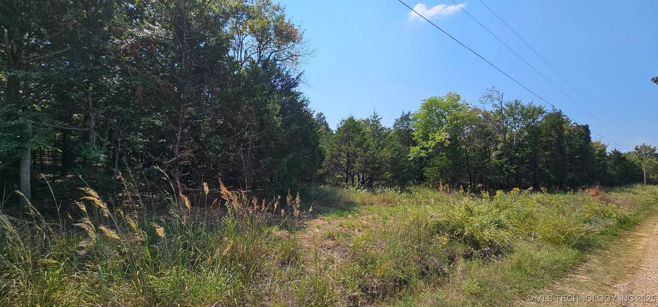 000000 994 Road - Photo 1