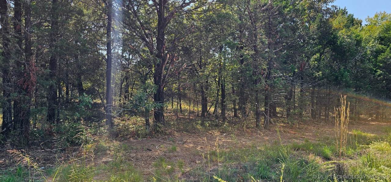 00000 994 Road - Photo 1