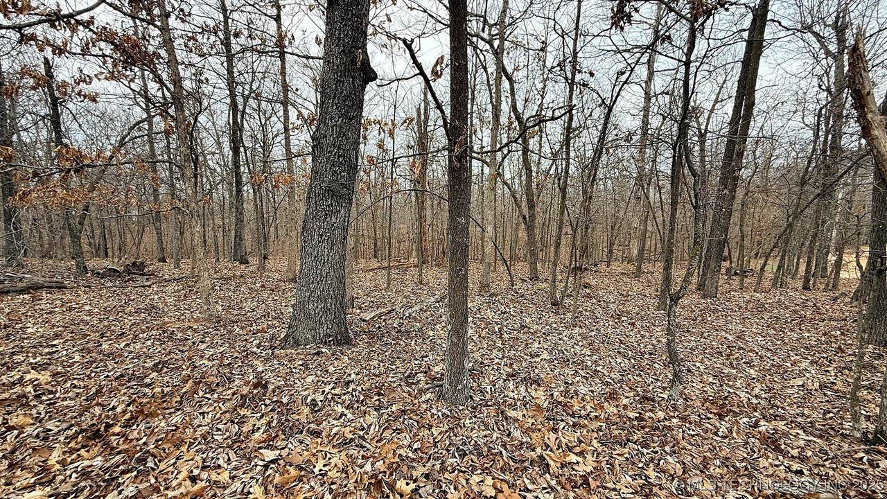 23167 Flint Ridge Drive - Photo 1