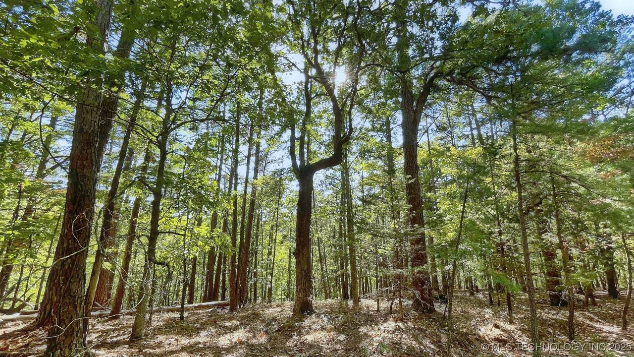 2413 Cypress Point Court - Photo 1