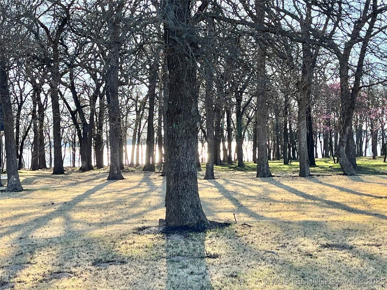  Scenic View Road - Photo 1