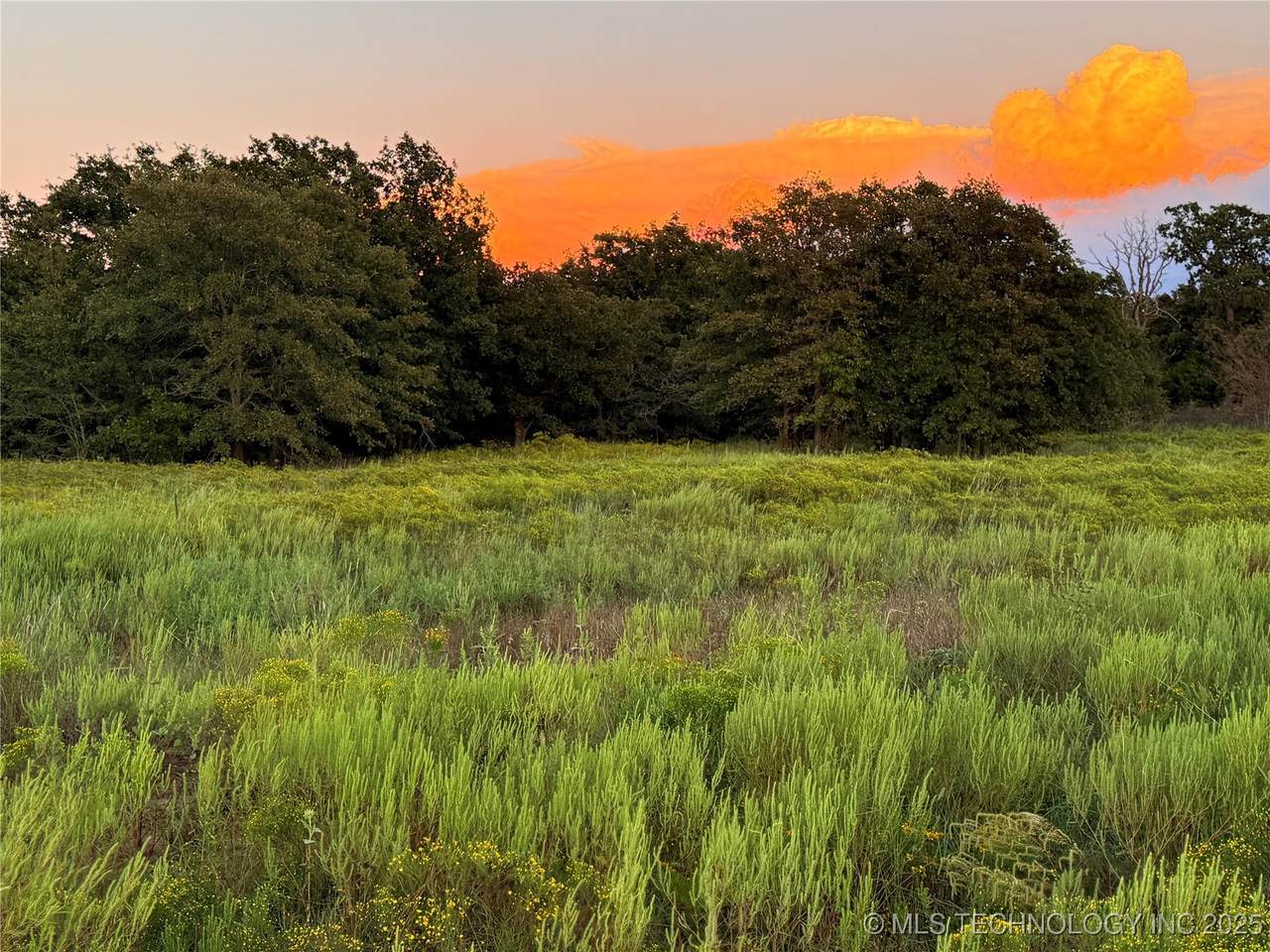  State Hwy 53 - Photo 1