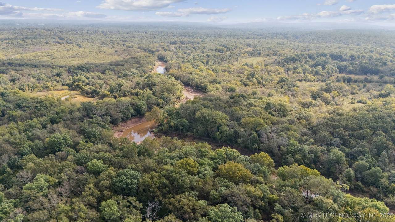  Webster Road - Photo 1