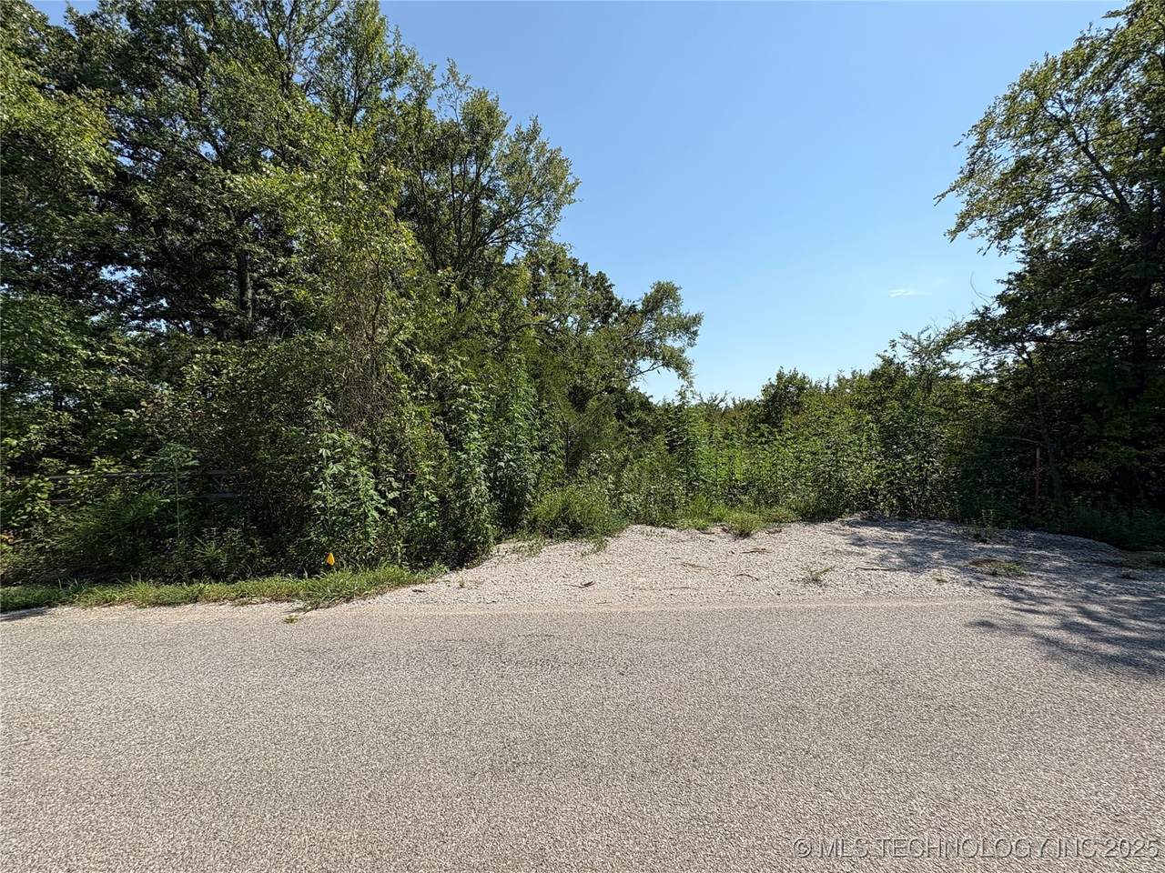  Mockingbird - Photo 1