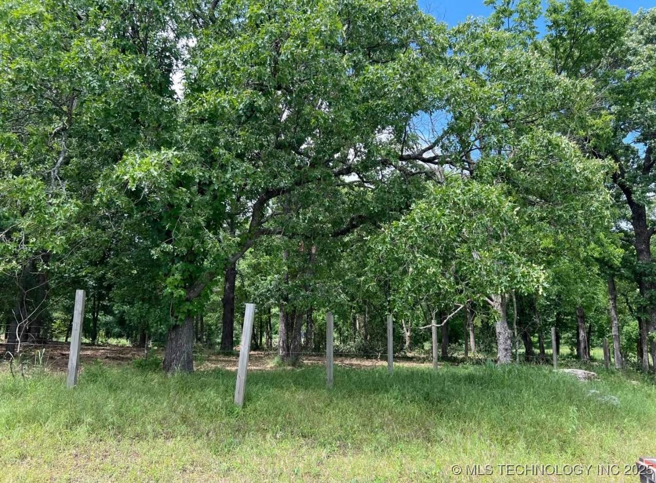 7668 Harvard Avenue - Photo 1